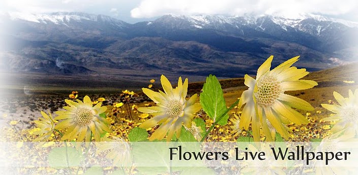 Flowers Live Wallpaper